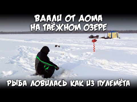 Видео: Вдали от дома на таёжном озере / Рыба ловилась как из пулемёта