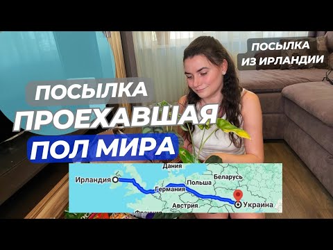 Видео: Растение проехавшее ПОЛ МИРА! Посылка из Ирландии.