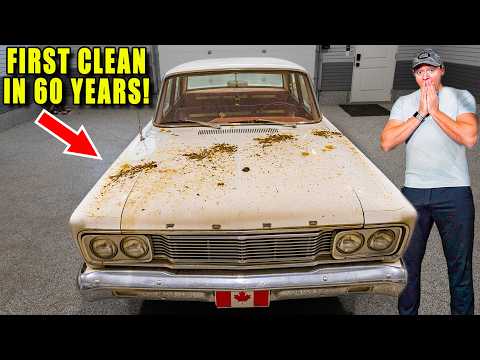 Видео: Очистка КАТАСТРОФНОГО 60-летнего Ford Fairlane!