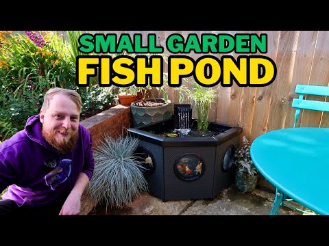 Видео: Создание расслабляющего МИНИ-ПРУДА для красивых золотых рыбок.