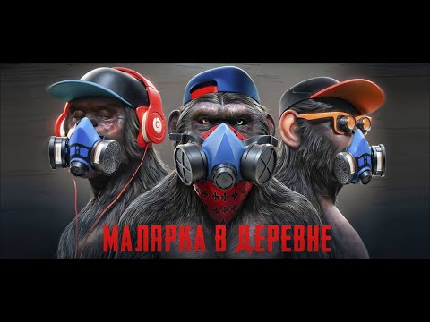 Видео: Быстрый ремонт! краскопульт Avalon A60 #маляркавдеревне #avalon