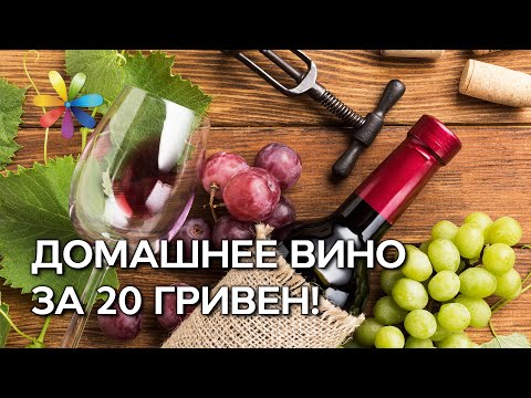 Видео: Домашнее вино из винограда. ПЯТЬ простых этапов приготовления домашнего вина – Все буде добре
