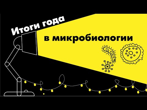 Видео: Микробиология. Итоги 2020 года с Марией Летаровой (тизер)