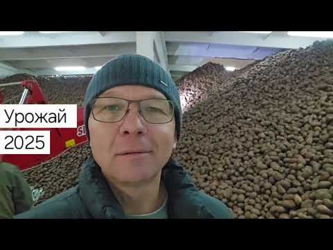 Видео: Картофель 2025 из Свердловской области +7(912)22-013-26 #картофельурал