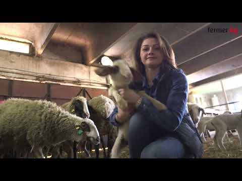 Видео: Галина Мирчева: Абсурдно е да имаш животни и да нямаш пасище