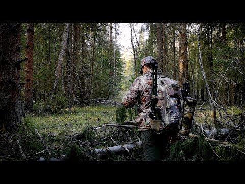 Видео: Рюкзак Solognac Allterrain. Лучшее решение для ходовой охоты.