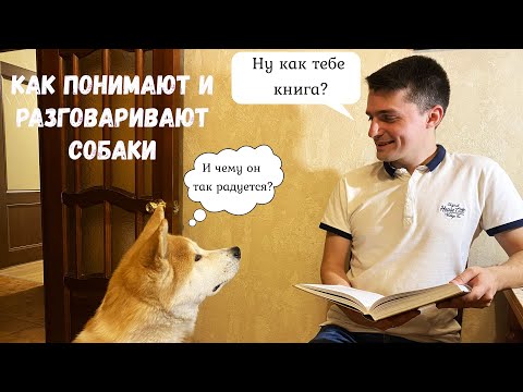 Видео: Собака всё понимает, но сказать не может или как разговаривают собаки?