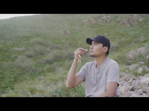 Видео: Жерге- Тал району, Кашка терек айылы 2025