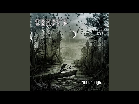 Видео: Матерь болот