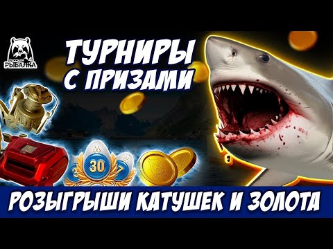 Видео: МОРЕ ЛЮТЫЙ ФАРМ 🎁 В  РУЛЕТКЕ - РАПТОР, ВЕНГА, РОД ПОД 🔴 РОЗЫГРЫШИ И ТУРНИРЫ 💥СТРИМ РР4