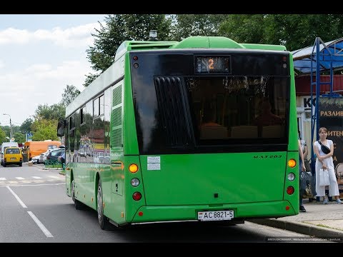 Видео: Автобус Заславля МАЗ-203.015, гос.№ АС 8821-5, марш.2 (28.08.2019)
