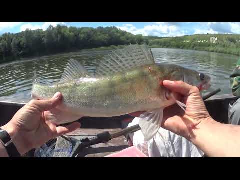 Видео: "Троллинг с обновками", 17.06.2022, рыбалка на реке "Дон".
