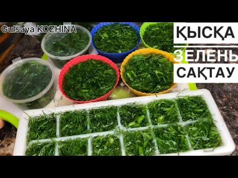 Видео: ҚЫСҚА КӨК шөпті осылай сақтаңыз, ҮСІМЕЙДІ❌ 2 түрлі сақтау әдісі! КЕЗ келген тамаққа қоса бересіз