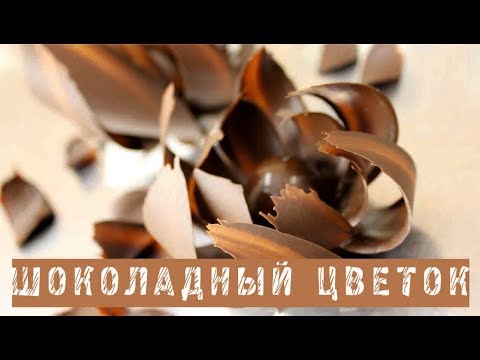 Видео: Шоколадные цветы. Самый простой цветок. Почти...