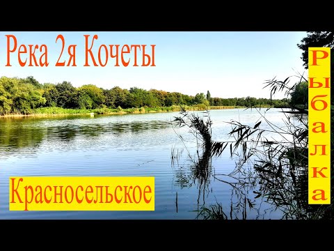 Видео: Секретное место на реке 2я Кочеты. Рыбалка, обзор, Красносельское.