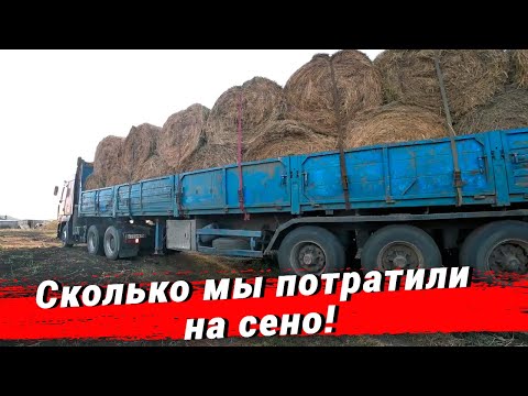 Видео: Купили 30 рулонов сена. Сколько денег мы заплатили. 10 тонн разгрузили руками. Жизнь в деревне.