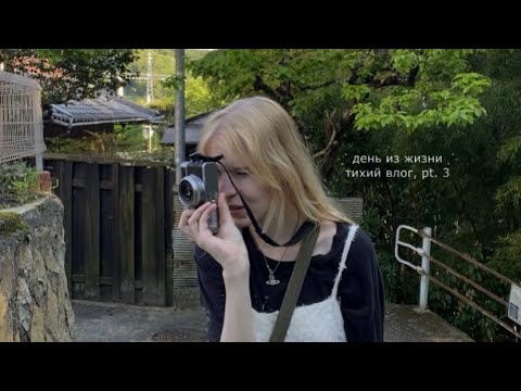 Видео: ˗ˏˋ🍵ˎˊ˗ утро в лесах японии: мир, написанный хаяо миядзаки