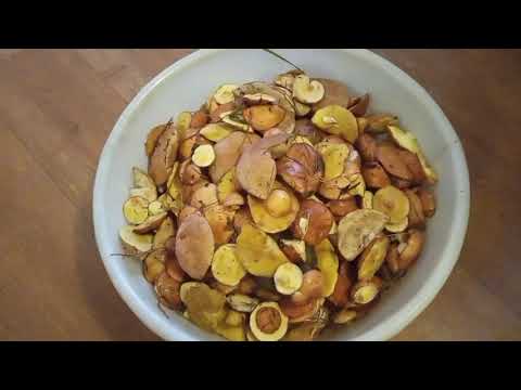 Видео: Тихая охота 2025 года. 