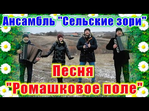 Видео: "Ромашковое поле", (красивая песня для души). Ансамбль "Сельские зори". Russian songs.