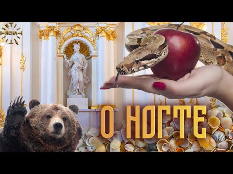 Видео: Урок 51. О Ногте. Что такое Интеллект. Русская Школа Русского Языка.