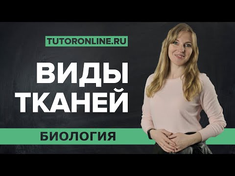 Видео: Виды тканей: покровная, механическая, проводящая ткань | Биология | TutorOnline