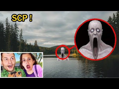 Видео: Куловод спрятался в лесу