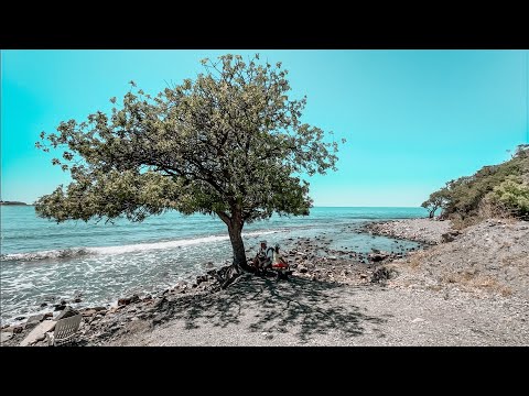 Видео: Большой Утриш / Влог / Анапа