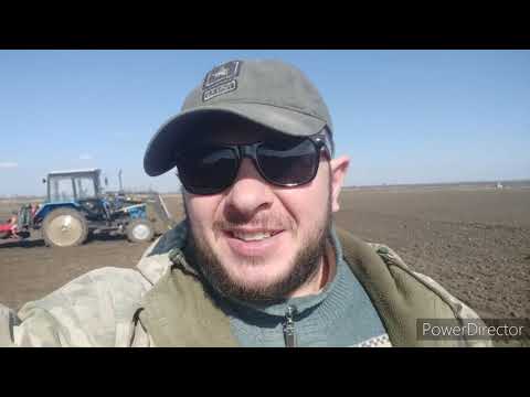 Видео: Как и чем сажают свеклу.(Agricola)