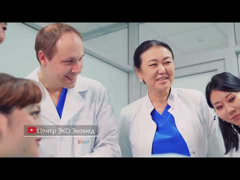 Видео: «Шарапатты шипагер»