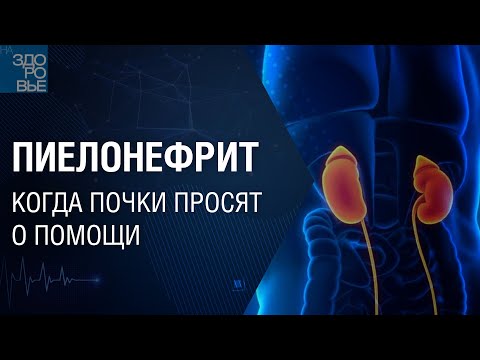 Видео: Пиелонефрит. Когда почки просят о помощи. На здоровье 22.10.2021
