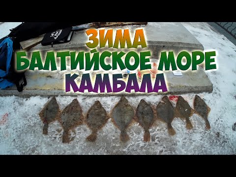 Видео: Рыбалка зимой | Балтийское море | Ловля камбалы на донки.