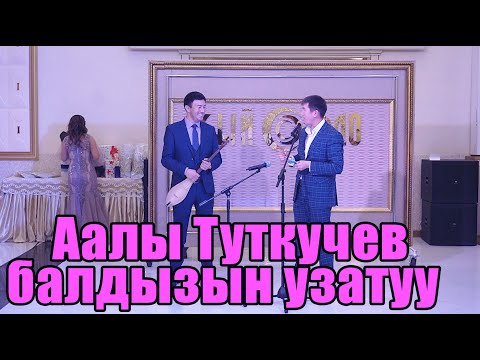 Видео: Аалы Туткучев  тойдо ТАМАДАevent 0557 48 51 15