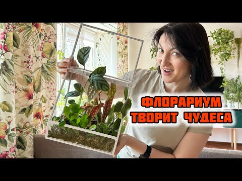 Видео: ЧУДО ФЛОРАРИУМ!!! Поле Цветов без Особого ТРУДА!