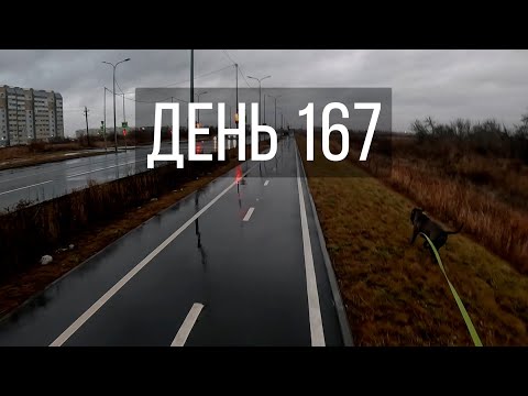 Видео: День 167