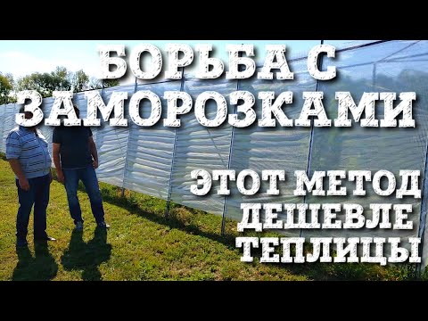 Видео: КАК БОРОТЬСЯ С ЗАМОРОЗКАМИ И СОЗДАТЬ ЭФФЕКТ ТЕПЛИЦЫ НА ВИНОГРАДНИКЕ. НОВОВВЕДЕНИЕ КИСЕЛЁВА С.А.