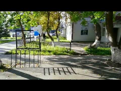 Видео: На любой язык всё переведём 