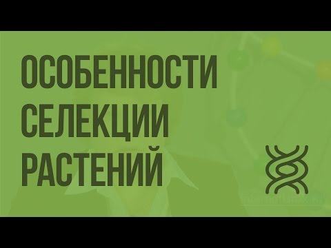 Видео: Особенности cелекции растений. Видеоурок по биологии 9 класс