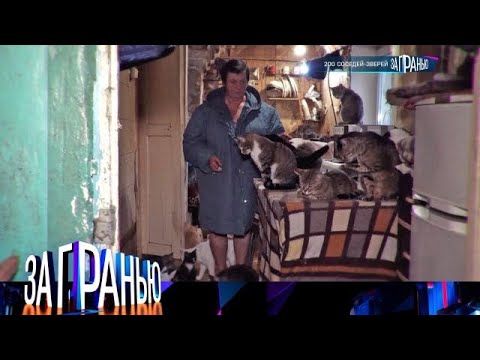 Видео: За гранью. Выпуск от 15.10.2025 -  «200 кг проклятия матери» Передачи НТВ