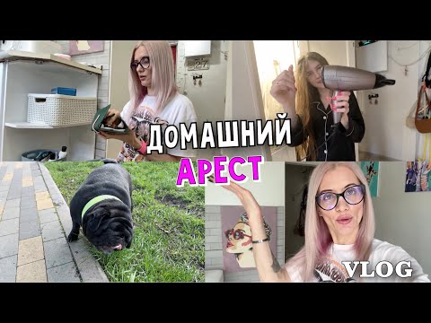 Видео: Домашний арест. У Киры проблема с феном. Собака на выпасе и мини уборка.