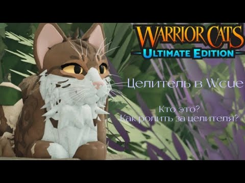 Видео: Целитель в Warriors Cats : Ultimate Edition | Как ролить за целителя в WCUE?•°• | Silvery WCUE