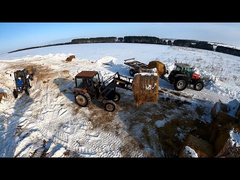 Видео: Очищаю путь мужикам для транспортировки соломы!