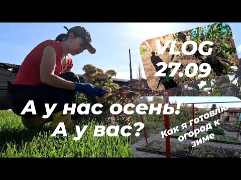 Видео: ДАЧНЫЙ VLOG 27.09.Готовлю огород и сад к зиме. Разводка электропроводки по дому