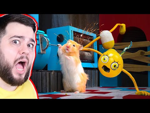 Видео: ХОМЯК ПОЙМАЛ МАЛЫША ДЛИННЫЕ НОГИ В ДРОБИЛКЕ Poppy Playtime: Chapter 2