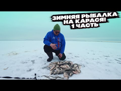 Видео: РЫБАЛКА НА КАРАСЯ ЗИМОЙ. Как ловить карася зимой. Советы для начинающих . Часть 1