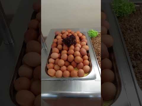 Видео: Геленджик.Приветливый берег.Завтрак 06.01.2024.