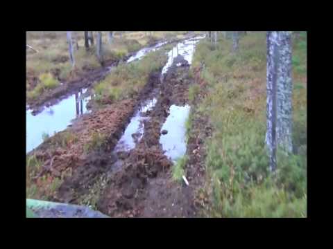 Видео: Газон едет на разведку.