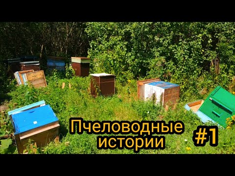 Видео: ХУЛИГАН РАЗНЁС УЛЬИ НА ПАСЕКЕ!!!