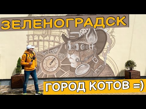 Видео: Зеленоградск. Лучше Калининграда? Обзор города: цены, еда, интересные места, отель.