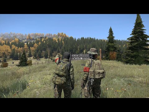 Видео: DayZ - На сервері...