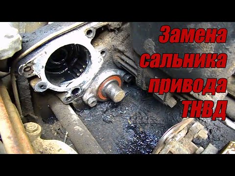 Видео: ЗАМЕНА САЛЬНИКА ПРИВОДА ТНВД. Камаз.